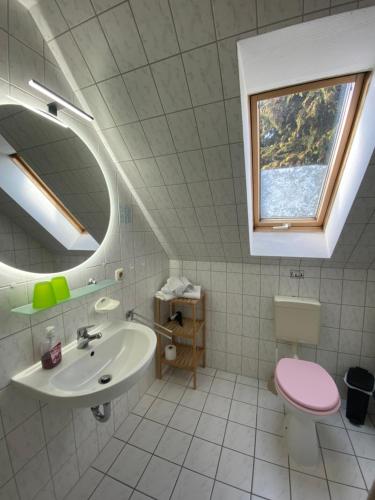 a bathroom with a sink and a toilet and a mirror at Zum Schlossgarten in Ralswiek