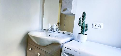 a bathroom with a sink and a cactus at Speloncae Apartment in Sperlonga