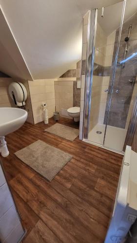 a bathroom with a shower and a sink and a toilet at Apartmán u kolejí D in Kašnice