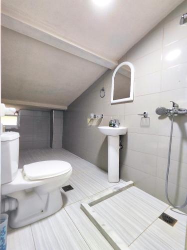 a bathroom with a toilet and a sink at LATE Nature House Gjirokaster in Gjirokastër