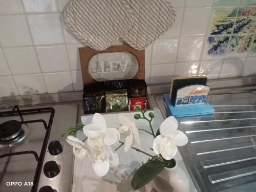 a kitchen counter with a vase with white flowers on it at Casa Eden in Ventimiglia