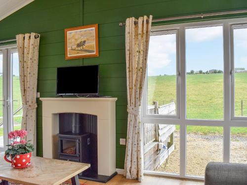a living room with a fireplace and a tv at Buckland Lodge in Pentridge
