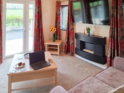a living room with a fireplace and a laptop on a table at Forrest Lodge in Plumbland
