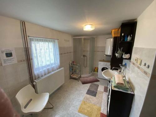 a small bathroom with two sinks and a shower at Roubenka Na vršku in Staré Křečany
