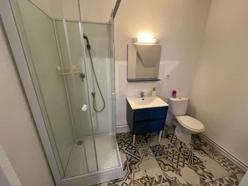 a bathroom with a shower and a sink and a toilet at L Atelier du Centre in Vendôme