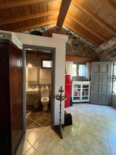 a bathroom with a toilet and a sink at Agroktima Konstantinos & Eleni in Platy