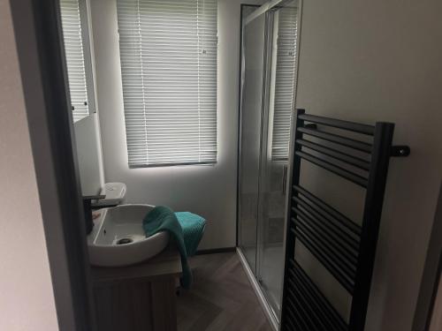 a bathroom with a sink and a shower at Three Lochs Holiday Park, 139 Loch View with Lazy Spa Hot Tub, Platinum 3 bedroom Holiday Home for Hire in Balminnoch