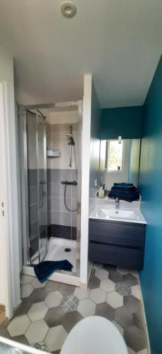a bathroom with a shower and a toilet and a sink at La Péra in Putanges