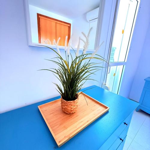 Apartment Large Terrace Sea & Mountain Benalbeach