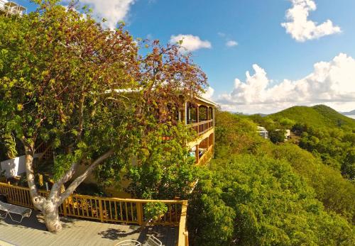 a house on a hill with a tree at Marina Vista St. Thomas in St Thomas
