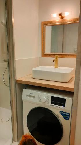 a washing machine in a bathroom with a sink at Gîte L'Orée des Bois in Paimpont