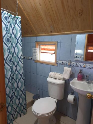a small bathroom with a toilet and a sink at Cabañas Carolín Cacao Castaño in San José de Maipo