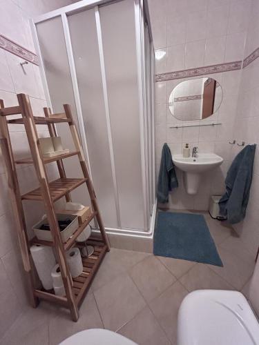a bathroom with a shower and a toilet and a sink at Apartmán Kašperk in Vacov