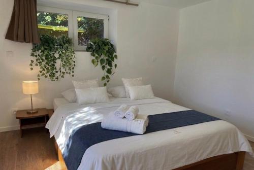 NEW 2-Bedroom, 2-Bathroom Apartment in Central Location