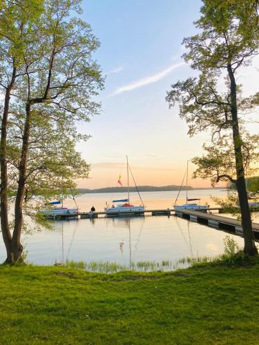 a dock with boats on a lake with trees at Pokoje Podzamcze in Stare Drawsko