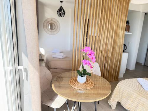 BEAU STUDIO 4 couchages vue mer Cannes