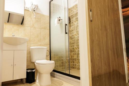 a bathroom with a toilet and a glass shower at Motel Remo in Lovrin