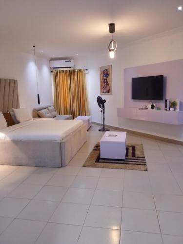 a living room with a bed and a tv at Vintage classic suits in Lagos