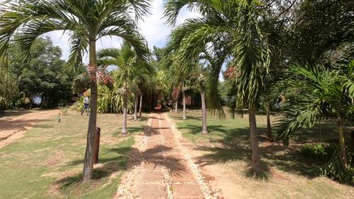 a row of palm trees in a park at Hotel Acantilado de La Tierra by On vacation in San Andrés