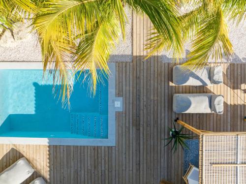 a swimming pool with a palm tree in the foreground at Villa CuraNova in Jan Thiel