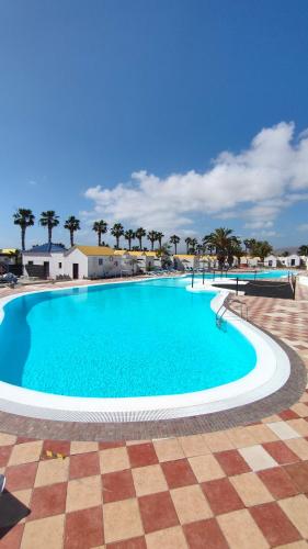 a large blue swimming pool with palm trees in the background at First Love in Caleta De Fuste