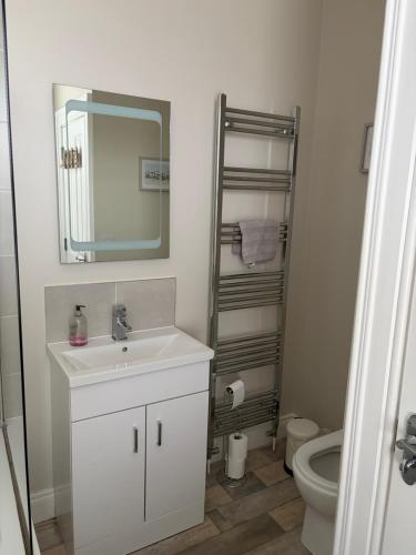 a bathroom with a sink and a toilet and a mirror at Binghambelle in Bangor