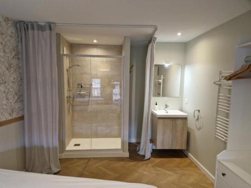 a bathroom with a shower and a sink at La petite maison orange in Koenigsmacker