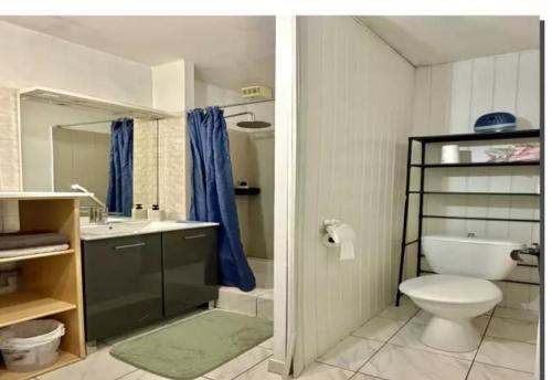 a bathroom with a toilet and a sink at Le repos beaurepairien in Beaurepaire