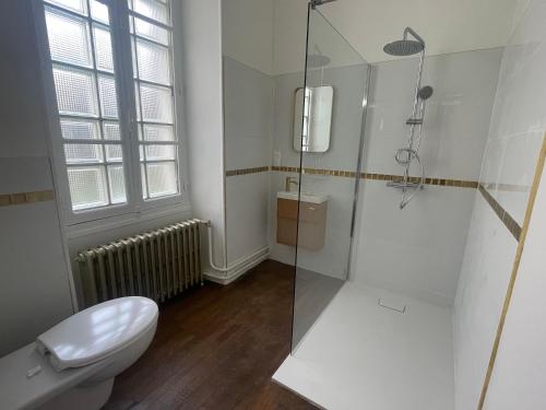 a bathroom with a toilet and a glass shower at Le Louis d'Or in Beaumont-sur-Sarthe