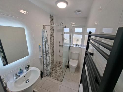 a bathroom with a shower and a toilet and a sink at Derryhick Escape in Crillaun