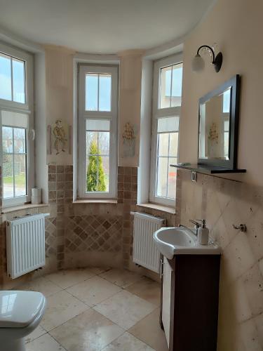 a bathroom with a sink and a toilet and windows at Młyn Warmiński -Hotelik Hermes in Pieniężno