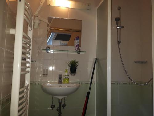 a bathroom with a sink and a shower at Apartma David Rogla in Zreče