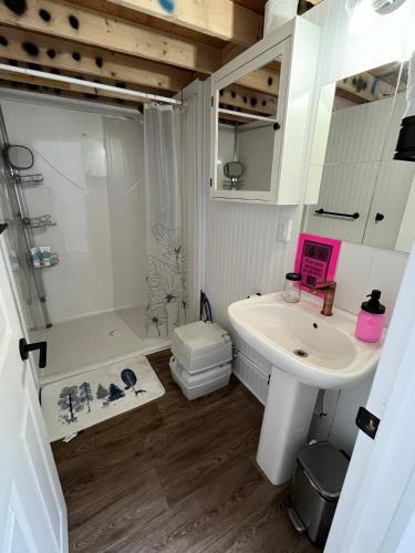a bathroom with a sink and a shower and a toilet at Havre du Lac Montagnais in Saint-Fulgence