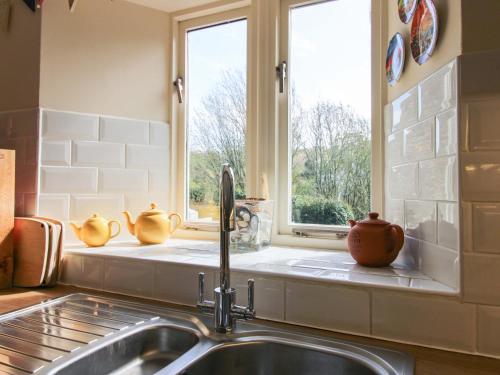 a kitchen with a sink and a window at Orchard Barn in Salcombe