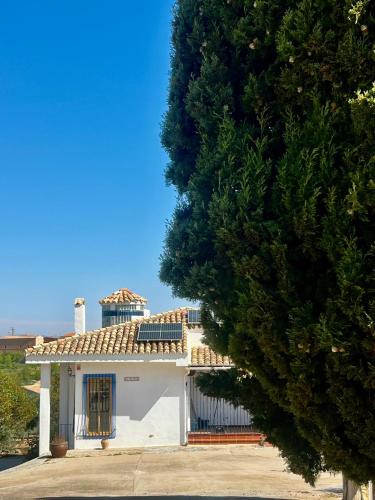 a white house with a tree in front of it at FINCA EL OLIVAR Casa Rural in Los Corrales
