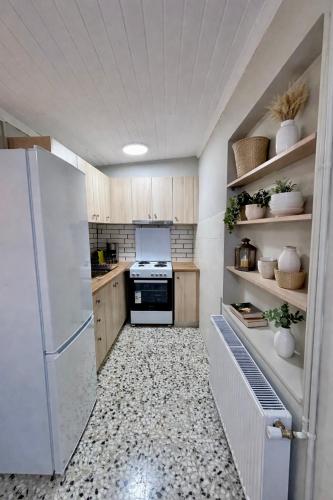 Nikolas place