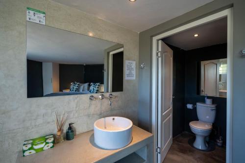 a bathroom with a sink and a toilet and a mirror at A Stone's Throw in Grahamstown