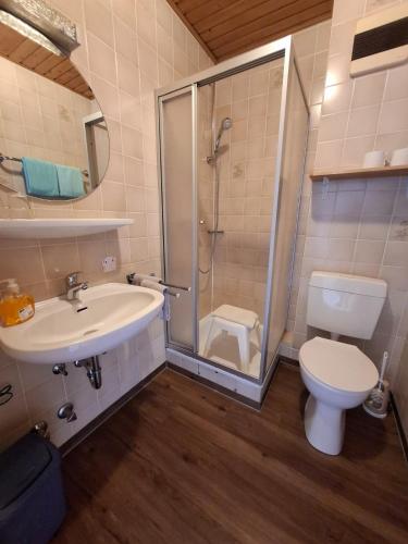 a bathroom with a shower and a sink and a toilet at Hotel Pappelhof in Weidenbach