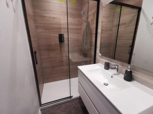 a bathroom with a shower with a sink and a shower at Appartement dans l'univers Harry Potter in Rosporden