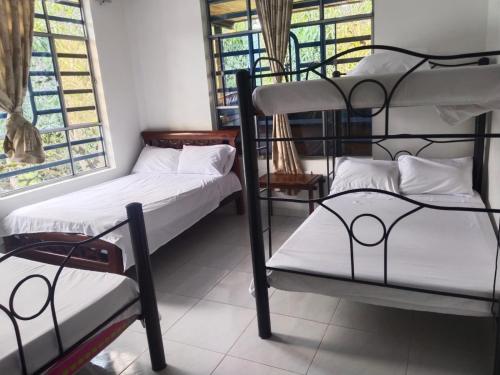 a room with two bunk beds and two windows at San Alejo in San Joaquín