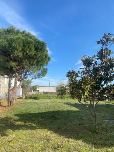 a field with two trees and a blue sky at Modern Villa in Lesvos in Apidias Lakos