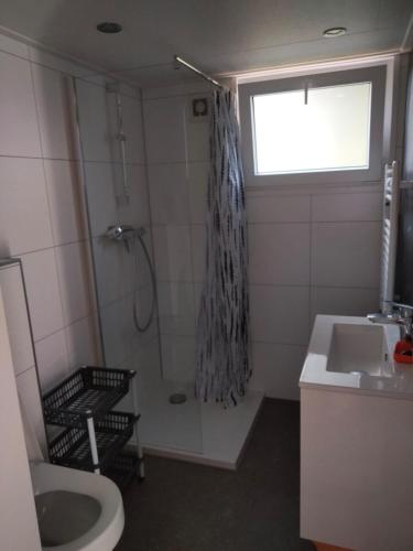 a bathroom with a shower and a sink and a toilet at Moderne Tiny Chalet, 20 min van Zeeuwse Kust VP072 in Heinkensand