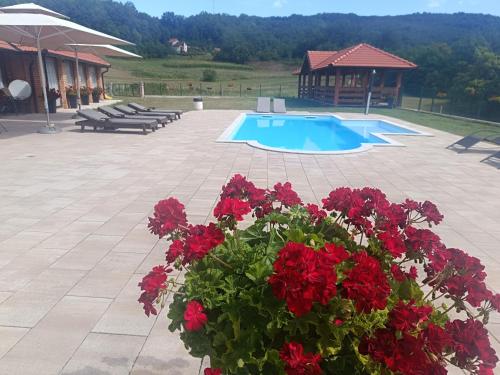 a pot of red flowers next to a swimming pool at Vikendica Danilo in Banja Luka