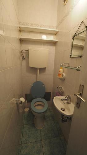 a bathroom with a blue toilet and a sink at Apartment Alma in Zagreb