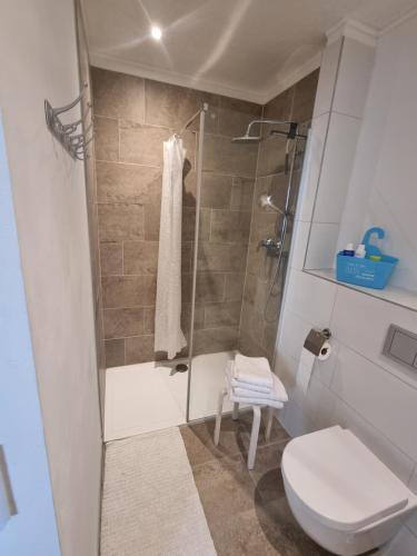 a bathroom with a shower and a toilet at Auszeit am Rosengarten, Zentrumsnah in Güstrow