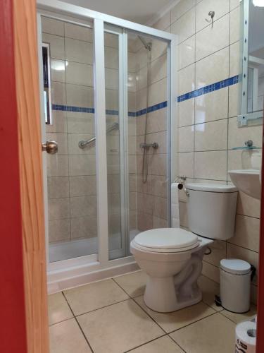 a bathroom with a toilet and a glass shower at Cabaña en barrio Palafitos de Castro in Castro