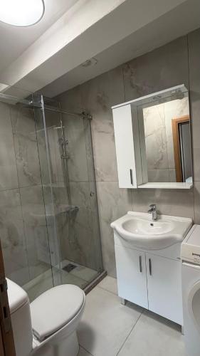 a bathroom with a shower and a toilet and a sink at Casa Oliva in Orahovo