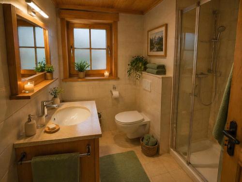 a bathroom with a shower and a toilet and a sink at Ferienwohnungen Pez Regina in Lumbrein