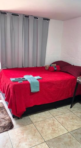 ein Schlafzimmer mit einem roten Bett und einer roten Decke in der Unterkunft BSM!o in Caxambu