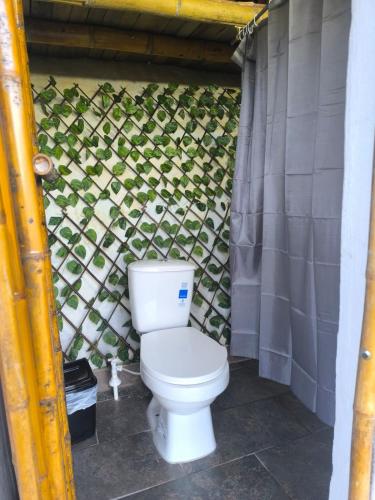 a toilet in a bathroom with a green wall at Conexión naturaleza in San Luis
